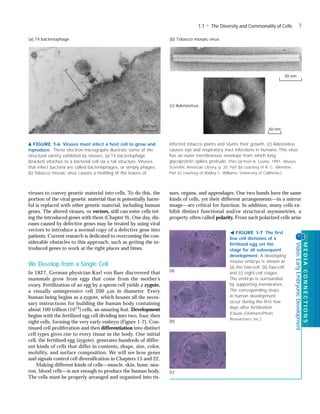 Molecular Cell Biology 5Rev Ed Edition Harvey Lodish | PDF
