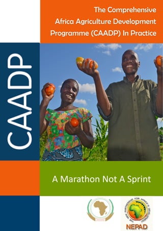 The Comprehensive
Africa Agriculture Development
Programme (CAADP) In Practice
A Marathon Not A Sprint
 