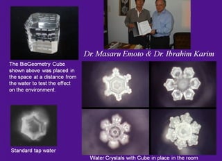 Intro-to-Biogeometry-Presentation-Slides | PPT