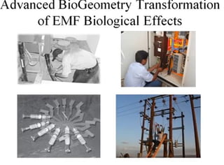 Intro-to-Biogeometry-Presentation-Slides | PDF