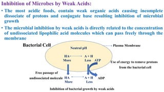 Factors Influencing Microbial Growth on Food: Understanding Food ...