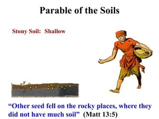 Parable of the Soils
Stony Soil: Shallow
“Other seed fell on the rocky places, where they
did not have much soil” (Matt 13:5)
 