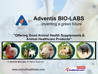 &quot;Offering Good Animal Health Supplements & Animal Healthcare Products&quot; Adventis BIO-LABS …..inventing a green future 
