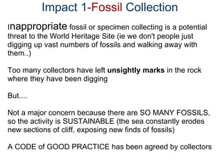               Impact 1 -Fossil  Collection  ,[object Object],[object Object],[object Object],[object Object],[object Object],[object Object],[object Object],[object Object],[object Object]