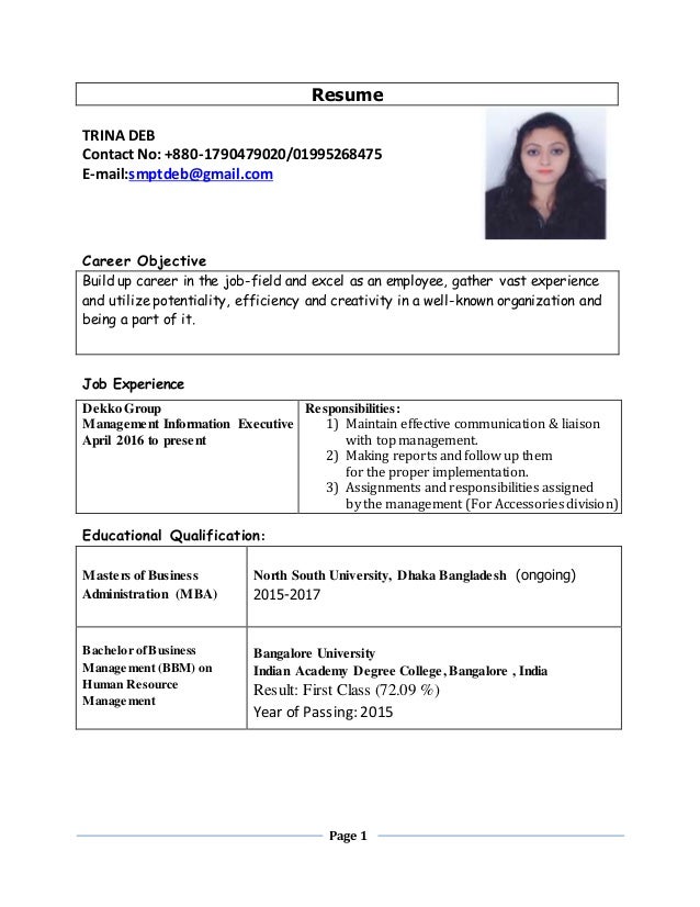 cv how to build up a resume