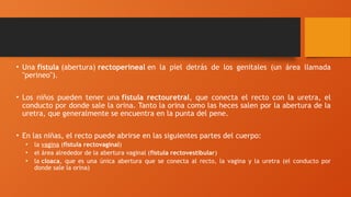 • Una fístula (abertura) rectoperineal en la piel detrás de los genitales (un área llamada
"perineo").
• Los niños pueden tener una fístula rectouretral, que conecta el recto con la uretra, el
conducto por donde sale la orina. Tanto la orina como las heces salen por la abertura de la
uretra, que generalmente se encuentra en la punta del pene.
• En las niñas, el recto puede abrirse en las siguientes partes del cuerpo:
• la vagina (fístula rectovaginal)
• el área alrededor de la abertura vaginal (fístula rectovestibular)
• la cloaca, que es una única abertura que se conecta al recto, la vagina y la uretra (el conducto por
donde sale la orina)
 