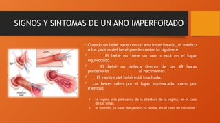SIGNOS Y SINTOMAS DE UN ANO IMPERFORADO
• Cuando un bebé nace con un ano imperforado, el médico
o los padres del bebé pueden notar lo siguiente:
 El bebé no tiene un ano o está en el lugar
equivocado.
 El bebé no defeca dentro de las 48 horas
posteriores al nacimiento.
 El vientre del bebé está hinchado.
 Las heces salen por el lugar equivocado, como por
ejemplo:
• la vagina o la piel cerca de la abertura de la vagina, en el caso
de las niñas
• el escroto, la base del pene o su punta, en el caso de los niños
 