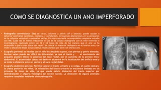 COMO SE DIAGNOSTICA UN ANO IMPERFORADO
• Radiografía convencional (Rx) de tórax, columna y pelvis (AP y lateral): puede ayudar a
detectar anomalías cardiacas, costales, y vertebrales, incluyendo alteraciones en la alineación
de la columna vertebral y anomalías sacras. En este caso sería recomendable completar estudio
con RM. Cada vez es menos frecuente el uso de la clásica radiografía con el niño invertido o
invertograma, realizada entre las 12 y 24 horas de vida de tal manera que el aire ya ha
alcanzado la parte más distal del recto. Se coloca un material radiopaco en el teórico ano y se
mide la distancia desde el saco rectal repleccionado por aire y el teórico ano.
• Ecografía perineal: se realiza con el niño en decúbito supino, con piernas y pelvis elevadas.
Muchas veces puede ser difícil de diferenciar, ya que el llanto y el movimiento del
pequeño pueden elevar la posición del saco rectal, por el aumento de la presión intra-
abdominal. El examinador coloca un dedo en el periné en la localización del orificio anal y
se mide la distancia entre el periné y el saco rectal distal.
• Ecografía abdómino-pélvica: Permite valorar el tracto urinario y la vejiga, el cuello vesical y
la uretra posterior en niños. La valoración del tracto urinario se encuentra limitada en las
primeras 24 horas de vida, ya que puede existir dilatación del tracto superior por
deshidratación y oliguria fisiológica del recién nacido. La detección de alguna anomalía
requiere completar mediante cistouretrografía.
 