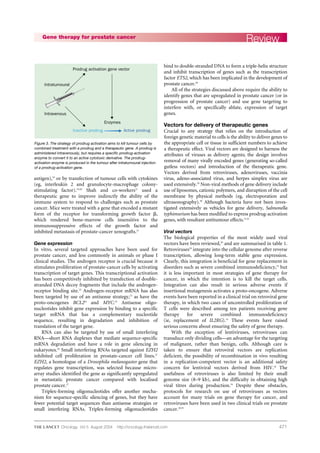 471
antigen),18
or by transfection of tumour cells with cytokines
(eg, interleukin 2 and granulocyte-macrophage colony-
stimulating factor).19,20
Shah and co-workers21
used a
therapeutic gene to improve indirectly the ability of the
immune system to respond to challenges such as prostate
cancer. Mice were treated with a gene that encoded a mutant
form of the receptor for transforming growth factor ␤,
which rendered bone-marrow cells insensitive to the
immunosuppressive effects of the growth factor and
inhibited metastasis of prostate-cancer xenografts.21
Gene expression
In vitro, several targeted approaches have been used for
prostate cancer, and less commonly in animals or phase I
clinical studies. The androgen receptor is crucial because it
stimulates proliferation of prostate-cancer cells by activating
transcription of target genes. This transcriptional activation
has been competitively inhibited by transfection of double-
stranded DNA decoy fragments that include the androgen-
receptor binding site.22
Androgen-receptor mRNA has also
been targeted by use of an antisense strategy,23
as have the
proto-oncogenes BCL224
and MYC.25
Antisense oligo-
nucleotides inhibit gene expression by binding to a specific
target mRNA that has a complementary nucleotide
sequence, resulting in degradation and inhibition of
translation of the target gene.
RNA can also be targeted by use of small interfering
RNA—short RNA duplexes that mediate sequence-specific
mRNA degradation and have a role in gene silencing in
eukaryotes.26
Small interfering RNAs targeted against EZH2
inhibited cell proliferation in prostate-cancer cell lines.27
EZH2, a homologue of a Drosophila melanogaster gene that
regulates gene transcription, was selected because micro-
array studies identified the gene as significantly upregulated
in metastatic prostate cancer compared with localised
prostate cancer.27
Triplex-forming oligonucleotides offer another mecha-
nism for sequence-specific silencing of genes, but they have
fewer potential target sequences than antisense strategies or
small interfering RNAs. Triplex-forming oligonucleotides
bind to double-stranded DNA to form a triple-helix structure
and inhibit transcription of genes such as the transcription
factor ETS2, which has been implicated in the development of
prostate cancer.28
All of the strategies discussed above require the ability to
identify genes that are upregulated in prostate cancer (or in
progression of prostate cancer) and use gene targeting to
interfere with, or specifically ablate, expression of target
genes.
Vectors for delivery of therapeutic genes
Crucial to any strategy that relies on the introduction of
foreign genetic material to cells is the ability to deliver genes to
the appropriate cell or tissue in sufficient numbers to achieve
a therapeutic effect. Viral vectors are designed to harness the
attributes of viruses as delivery agents; the design involves
removal of many virally encoded genes (generating so-called
gutless vectors) and introduction of the therapeutic gene.
Vectors derived from retroviruses, adenoviruses, vaccinia
virus, adeno-associated virus, and herpes simplex virus are
used extensively.29
Non-viral methods of gene delivery include
use of liposomes, cationic polymers, and disruption of the cell
membrane by physical methods (eg, electroporation and
ultrasonography).30
Although bacteria have not been inves-
tigated extensively as vehicles for gene delivery, Salmonella
typhimurium has been modified to express prodrug-activation
genes, with resultant antitumour effects.31,32
Viral vectors
The biological properties of the most widely used viral
vectors have been reviewed,29
and are summarised in table 1.
Retroviruses29
integrate into the cellular genome after reverse
transcription, allowing long-term stable gene expression.
Clearly, this integration is beneficial for gene replacement in
disorders such as severe combined immunodeficiency,33
but
it is less important in most strategies of gene therapy for
cancer, in which the intention is to kill the target cells.
Integration can also result in serious adverse events if
insertional mutagenesis activates a proto-oncogene. Adverse
events have been reported in a clinical trial on retroviral gene
therapy, in which two cases of uncontrolled proliferation of
T cells were described among ten patients receiving gene
therapy for severe combined immunodeficiency
(ie, replacement of IL2RG).33
These events have raised
serious concerns about ensuring the safety of gene therapy.
With the exception of lentiviruses, retroviruses can
transduce only dividing cells—an advantage for the targeting
of malignant, rather than benign, cells. Although care is
taken to ensure that retroviral vectors are replication
deficient, the possibility of recombination in vivo resulting
in a replication-competent vector is an additional safety
concern for lentiviral vectors derived from HIV.34
The
usefulness of retroviruses is also limited by their small
genome size (8–9 kb), and the difficulty in obtaining high
viral titres during production.34
Despite these obstacles,
protocols for research on use of retroviruses as vectors
account for many trials on gene therapy for cancer, and
retroviruses have been used in two clinical trials on prostate
cancer.20,35
ReviewGene therapy for prostate cancer
Oncology Vol 5 August 2004 http://oncology.thelancet.com
Prodrug activation gene vector
Inactive prodrug Active prodrug
Enzymes
Intratumoural
Intravenous
Figure 3. The strategy of prodrug activation aims to kill tumour cells by
combined treatment with a prodrug and a therapeutic gene. A prodrug is
administered intravenously, but requires a specific prodrug-activation
enzyme to convert it to an active cytotoxic derivative. The prodrug-
activation enzyme is produced in the tumour after intratumoural injection
of a prodrug-activation gene.
 