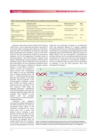 474
Promoters such as the promoter of the human PSA gene
(KLK3) have a role in improving the efficacy and safety of
vectors that express anticancer genes (figure 4). Commonly,
promoters have been modified to increase their expression
while maintaining tissue specificity. Activity of the KLK3
promoter has been improved by deletion of unnecessary
sequences and by the engineering of multiple copies of
functional regions.55
The KLK3 promoter contains 15-bp
regions called androgen response elements, which bind the
androgen receptor and are important for the activation of
gene transcription. We have generated recombinant KLK3
promoters with sequence variations in androgen response
element I at sites likely to improve
activity to mimic two mutations in
breast tumours that overexpressed
PSA (figure 4), and are undertaking
tests in human prostate-cancer cell
lines.69,70
A hybrid promoter has been
generated from regions of the KLK3
promoter and the promoter of the
prostate-specific membrane antigen
gene FOLH1; the hybrid seems to
maintain the tissue specificity of the
PSA sequences while being less
androgen dependent.71
Modification
of the KLK3 promoter to become less
androgen dependent might make the
promoter more efficient in some
patients with low androgen
concentrations as a result of hormone-
withdrawal therapy.
Yoshimura and colleagues5
overcame the androgen dependence of
the KLK3 promoter by use of the Cre
recombinase system (figure 5). The
researchers introduced two thera-
peutic genes into a mouse with
prostate cancer, including a gene
derived from bacteria that codes for
the enzyme Cre recombinase, under
the control of the KLK3 promoter. In
the absence of androgen, there was
prostate-specific, but low, expression
of the enzyme. The Cre recombinase
enzyme bound specifically to two loxP
target sites in a second gene, resulting in a recombination
event and subsequent deletion of a negative regulatory
element between the two sites. After this modification by Cre
recombinase, the second gene caused high expression of the
therapeutic gene cytosine deaminase under the control of a
highly efficient (but not tissue-specific) cytomegalovirus
promoter. Because one Cre recombinase molecule can cause
recombination in many vectors, the system was designed to
increase the low expression of tissue-specific transgenes.5
The Cre recombinase system was active even in the absence
of androgen, as was the KLK3 promoter alone after
stimulation by androgens.5
Review Gene therapy for prostate cancer
Oncology Vol 5 August 2004 http://oncology.thelancet.com
Gene expressed
Cell death
Gene expressed
Cell death
Neighbouring
non-prostate
tissues
A
B C D
Prostate
tissue
PSA promoter Proapoptic gene
Vector
Figure 4. Development of prostate-specific gene promoters. For vectors expressing proapoptotic
genes, tissue-specific promoters offer greater safety and specificity to that provided by intratumoral
injection (A). Sequence of the PSA promoter (KLK3) before (B), and after (C, D), mutagenesis.
Table 2. Gene promoters with potential use in prostate-cancer gene therapy
Gene Expression profile Effectiveness in mice Refs
Rat probasin gene Generally restricted to prostate tissue in transgenic mice, but detected at Tumour regression 14, 57
low amounts in testes
BCL2 Overexpressed in androgen-independent prostate tumours Decreased tumour volume 15, 58
Kallikrein 3 (KLK3, prostate Used as clinical disease marker Tumour regression 59–63
-specific antigen)* Low or absent expression in most non-prostate tissues
Higher expression in benign tissue than malignant tissue
Folate hydrolase (FOLH1, Higher expression in malignant tissue than benign tissue Decreased tumour volume 64–67
prostate-specific membrane Upregulated expression in the absence of androgens
antigen) Variable tissue specificity in vitro Tumour regression 68
Mouse osteocalcin gene* Expressed in osteoblasts, calcified smooth muscle, and prostate tumours
*The human kallikrein 3 promoter and mouse osteocalcin promoter have been used in clinical trials.
 