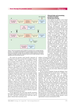 475
The search for prostate cancer-specific expression of
transgenes has also led to several other strategies. Peng and
co-workers15
have exploited the overexpression of the
proto-oncogene BCL2 in prostate cancer by use of BCL2
promoter sequences to direct expression of the gene for
diphtheria toxin A in a study in mice with prostate cancer
(table 2). This transgene was engineered further so that
expression depended on the presence of tamoxifen (figure
6).15
Two genes, a fusion gene and a therapeutic gene, were
delivered to prostate tumours in vivo. The fusion gene was
regulated by a BCL2 promoter and encoded two proteins—
a bacterial recombinase enzyme and an oestrogen receptor
modified to bind tamoxifen—that were joined, but with
each retaining its own function. After the binding of
tamoxifen to the oestrogen receptor, the conformation of
the fusion protein changed so that the recombinase was
active. The activated recombinase then deleted an
inhibitory sequence from the therapeutic-gene construct,
resulting in expression of the therapeutic gene under the
control of a non-specific but efficient promoter. Therefore,
expression of the therapeutic gene occurred only in cells
that expressed BCL2 (in other cells, the BCL2 promoter was
not active) and in the presence of tamoxifen (in other cells,
the recombinase was not active and the inhibitory sequence
remained in the therapeutic gene).15
Several approaches that used tissue-specific promoters
have shown effectiveness against prostate cancer in vivo, and
the OTC10
and KLK316
promoters have both been used in
phase I clinical trials on prostate cancer.
Clinical trials and promising
preclinical studies
Suicide-gene therapy
Gene therapy for prostate cancer based
on prodrug activation, most commonly
by use of the thymidine kinase system,
has been investigated in several clinical
trials. In a phase I trial,4
treatment of
recurring non-metastatic disease with
thymidine kinase and subsequent prodrug
administration caused sustained decreases
in serum concentration of PSA that
ranged from 6 weeks to longer than 1 year
in three of 18 patients (although one
patient developed grade 4 thrombo-
cytopenia at the highest dose of prodrug).
In a phase I/II trial,8
gene therapy with
thymidine kinase in an adenovirus vector
was given in combination with radio-
therapy. In another phase I/II trial7
of
thymidine kinase therapy, 78% of patients
with local recurrence of prostate cancer
after radiotherapy achieved partial
decreases in PSA. Most interestingly, a
similar cohort of patients were treated in a
phase I trial9
with a replication-competent
adenovirus that included a fusion gene for
a cytosine deaminase and thymidine
kinase. No dose-limiting toxic effects were
seen, and two of 18 patients showed no
evidence of having prostate cancer 1 year after treatment.9
A phase I clinical trial10
of 11 patients with metastatic or locally
recurrent prostate cancer assessed the thymidine kinase gene
combined with the prodrug valaciclovir. An adenovirus
vector, which carried the thymidine kinase gene controlled by
an OTC promoter, was injected into individual lesions and led
to temporary stabilisation of disease in one patient, and grade
1–3 toxic effects.10
Use of cytosine deaminase combined with
the prodrug flucytosine has also shown effectiveness against
prostate cancer in mice.5
By use of mouse xenografts, Freytag and colleagues72
have
assessed trimodal therapy for prostate cancer, consisting of a
replication-competent adenovirus vector, a cytosine-
deaminase thymidine-kinase fusion gene and prodrugs
activated by both enzymes encoded by the fusion gene, and
radiation. The researchers found that trimodal therapy
improved the cure rate and decreased the frequency of
metastases. However, they also noted that use of virus
combined with external-beam radiotherapy caused synergistic
toxic effects. In a phase I clinical trial11
of 15 patients with
newly diagnosed non-metastatic prostate cancer, use of
trimodal therapy did not lead to any dose-limiting toxic
effects, although four cases of grade 3 adverse events were
reported that might have been a result of treatment. There was
no evidence of circulating infectious adenovirus, and toxic
effects in the liver were limited to grade 1 or 2, suggesting that
trimodal therapy is safe in patients.11
Patients in this trial who
received longer courses of prodrug therapy showed a more
rapid decline in serum concentrations of PSA.11
ReviewGene therapy for prostate cancer
Oncology Vol 5 August 2004 http://oncology.thelancet.com
Non-specific
promoter
Recombinase
target site
PSA
promoter
Recombinase
gene
Non-specific
promoter
Therapeutic
gene
Inhibitory
sequence
Recombinase
target site
Therapeutic
gene
A
Non-specific
promoter
Recombinase
target site
Inhibitory
sequence
Recombinase
target site
Therapeutic
gene
B
C
Not expressed
Therapeutic
protein
Figure 5. The Cre recombinase system amplifies low expression from a prostate-restricted
promoter.15
Two transgenes were delivered into mouse prostate tumours (A). Recombinase
enzyme was expressed in prostate cells, and deleted an inhibitory sequence in the second
transgene to activate the gene (B). A therapeutic gene was then highly expressed, indirectly
regulated by the PSA promoter KLK3 (C).
 