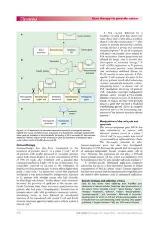 476
Immunotherapy
Immunotherapy has also been investigated in the
treatment of prostate cancer. In a phase I trial,19
six of
24 patients with locally advanced or recurrent prostate
cancer had a mean decrease in serum concentration of PSA
of 39% 10 weeks after treatment with a plasmid that
expressed interleukin 2 delivered by use of liposomes. The
researchers reported an increase in the infiltration of
lymphocytes into tumours, and no toxic effects higher than
grade 2 were seen.19
An adenovirus vector that expressed
interleukin 2 was administered by intraprostatic injection
to 12 patients with prostate cancer who had clinically
localised high-risk disease.39
In this phase I trial, treatment
increased the presence of cytokines at the vaccine site.
Grade 2 or lower toxic effects were seen (apart from in one
patient, who had grade 3 lymphopenia). Transduction of
prostate-cancer cells with granulocyte-monocyte colony-
stimulating factor ex vivo followed by intradermal
injection of the transduced cells caused T-cell and B-cell
immune responses against prostate-cancer cells in a phase I
clinical trial.20
A PSA vaccine delivered by a
modified vaccinia virus has shown low
toxic effects and variable efficacy in three
phase I trials of prostate cancer,18,41,42
after
studies in animals showed that a similar
strategy elicited a strong and sustained
immune response.52
In one of six patients
with recurrent prostate cancer treated by
PSA vaccination, disease progression was
delayed for longer than 8 months after
interruption of hormonal therapy.18
A
trial41
of PSA vaccination in 33 patients
with advanced prostate cancer showed
that vaccination stabilised disease for
11–25 months in nine patients. A PSA-
specific T-cell response was seen in five
of seven patients tested, all of whom also
received granulocyte-monocyte colony-
stimulating factor.41
A clinical trial42
of
PSA vaccination involving 42 patients
with metastatic androgen-independent
prostate cancer showed a PSA-specific
immune response in four of six patients
tested. In studies on mice with prostate
cancer, a gene that encoded a modified
transforming growth factor ␤ receptor
improved survival by overcoming sup-
pression of the immune function of bone
marrow.21
Manipulation of the cell cycle and
apoptosis
The tumour-suppressor gene BRCA1 has
been administered to patients with
advanced prostate cancer in a phase I
clinical trial35
by intraprostatic injection of
retrovirus without substantial toxic effects.
The therapeutic potential of other
tumour-suppressor genes has also been investigated.
Restoration of P53 decreased the growth and tumorigenicity
of androgen-independent human prostate-cancer cells in
vivo.73
However, this restoration did not affect a P53-null
mouse prostate-cancer cell line, which was inhibited in vivo
by transfection of the P21 gene (another cell-cycle regulator).74
A prostate-specific attenuated replication-competent
adenovirus has led to a dose-dependent decrease in serum
concentration of PSA in a phase I trial.16
Tumour regression
has been seen in mice with prostate tumours xenografted onto
the skeleton after treatment with an attenuated replication-
Review Gene therapy for prostate cancer
Oncology Vol 5 August 2004 http://oncology.thelancet.com
Search strategy and selection criteria
Data for this review were identified from PubMed and
references of relevant articles. Searches used combinations of
the search terms “prostate cancer”, “gene therapy”, “gene”,
“therapy”, “treatment”, “delivery”, “vector”, “tissue-specific”,
“prostate-specific”, and “promoter”. Abstracts of important
developments for which no full-text articles were available, and
of results from our own laboratory, were included. Only papers
published in English between 1990 and 2004 were included.
BCL2
promoter
Non-specific
promoter
Therapeutic
gene
Recombinase Modified
ER
A
B
Non-specific
promoter
Recombinase
target site
Inhibitory
sequence
Therapeutic
gene
C
D
Fusion protein
Fusion gene
Recombinase
activated
Therapeutic
protein
Fusion protein
Tamoxifen
Recombinase
target site
Figure 6. BCL2-dependent and tamoxifen-dependent expression of transgenes delivered
together into mouse prostate tumours. Expression of a recombinase-oestrogen receptor (ER)
fusion gene (A). Activation of recombinase by the binding of ER to tamoxifen (B). Recombinase
deletes an inhibitory sequence from a therapeutic gene (C). Expression of therapeutic gene
under indirect control of the BCL2 promoter (D).
 