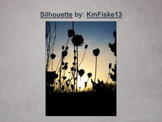 60 Beautiful Examples of Silhouette Photography | PDF