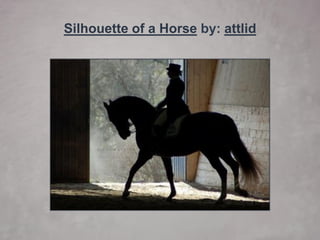 60 Beautiful Examples of Silhouette Photography | PDF