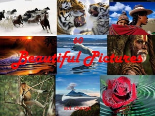 60 Beautiful Pictures aut. change 