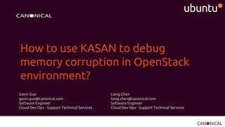 How to use KASAN to debug
memory corruption in OpenStack
environment?
Gavin Guo
gavin.guo@canonical.com
Software Engineer
Cloud Dev Ops - Support Technical Services
Liang Chen
liang.chen@canonical.com
Software Engineer
Cloud Dev Ops - Support Technical Services
 