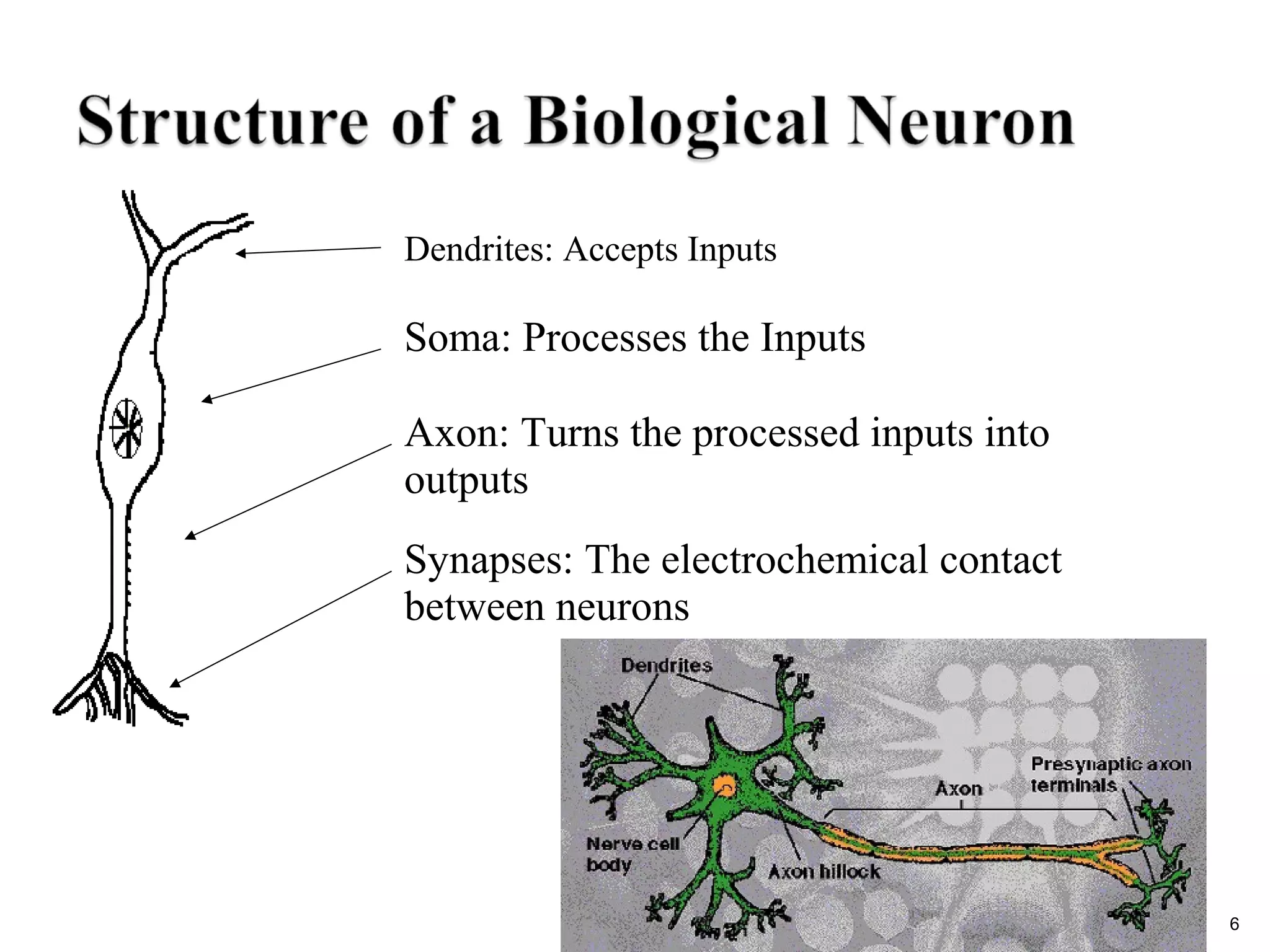 Sec 2: ANN 6
Dendrites: Accepts Inputs
Soma: Processes the Inputs
Axon: Turns the processed inputs into
outputs
Synapses: The electrochemical contact
between neurons
 