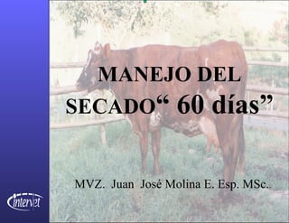 MANEJO DEL SECADO “ 60 días” MVZ.  Juan  José Molina E. Esp. MSc. . 