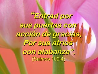   
““Entrad porEntrad por
sus puertas consus puertas con
acción de gracias,acción de gracias,
Por sus atriosPor sus atrios
con alabanza”.con alabanza”.
(Salmos 100:4)(Salmos 100:4)
 