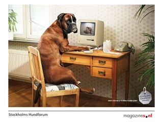 Stockholms Hundforum