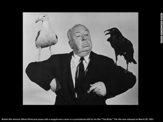 British film director Alfred Hitchcock poses with a seagull and a raven in a promotional still for his film "The Birds." T...