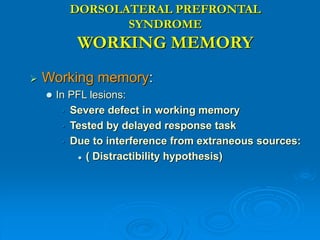 DORSOLATERAL PREFRONTAL
SYNDROME
WORKING MEMORY
 Working memory:
 In PFL lesions:
• Severe defect in working memory
• Tested by delayed response task
• Due to interference from extraneous sources:
 ( Distractibility hypothesis)
 