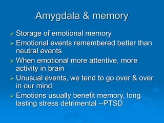 Amygdala & memory
 Storage of emotional memory
 Emotional events remembered better than
neutral events
 When emotional more attentive, more
activity in brain
 Unusual events, we tend to go over & over
in our mind
 Emotions usually benefit memory, long
lasting stress detrimental --PTSD
 