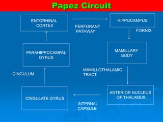 HIPPOCAMPUS
MAMILLARY
BODY
ANTERIOR NUCLEUS
OF THALAMUS
CINGULATE GYRUS
PARAHIPPOCAMPAL
GYRUS
ENTORHINAL
CORTEX
FORNIX
MAMILLOTHALAMIC
TRACT
INTERNAL
CAPSULE
CINGULUM
PERFORANT
PATHWAY
Papez Circuit
 