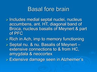 Basal fore brain
 Includes medial septal nuclei, nucleus
accumbens, ant. HT, diagonal band of
Broca, nucleus basalis of Meynert & part
of PFC
 Rich in Ach, imp to memory functioning
 Septal nu. & nu. Basalis of Meynert –
extensive connections to & from HC,
amygdala & neocortex
 Extensive damage seen in Alzheimer’s
 