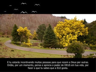 E tu estarás incentivando muitas pessoas para que rezem a Deus por outras.
Então, por um momento, pensa e aprecia o poder de DEUS em tua vida, por
                    fazer o que tu sabes que a ELE gosta.
 