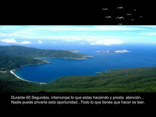 Ouvido Deus




                       Autor (a) do texto: Desconhecido

Durante 60 Segundos, interrumpe lo que estas haciendo y presta atención...
Nadie puede privarte esta oportunidad...Todo lo que tienes que hacer es leer.
 
