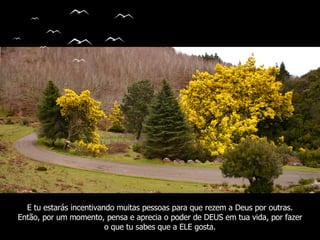 E tu estarás incentivando muitas pessoas para que rezem a Deus por outras. Então, por um momento, pensa e aprecia o poder de DEUS em tua vida, por fazer o que tu sabes que a ELE gosta. 