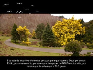 E tu estarás incentivando muitas pessoas para que rezem a Deus por outras.E tu estarás incentivando muitas pessoas para que rezem a Deus por outras.
Então, por um momento, pensa e aprecia o poder de DEUS em tua vida, porEntão, por um momento, pensa e aprecia o poder de DEUS em tua vida, por
fazer o que tu sabes que a ELE gosta.fazer o que tu sabes que a ELE gosta.
 