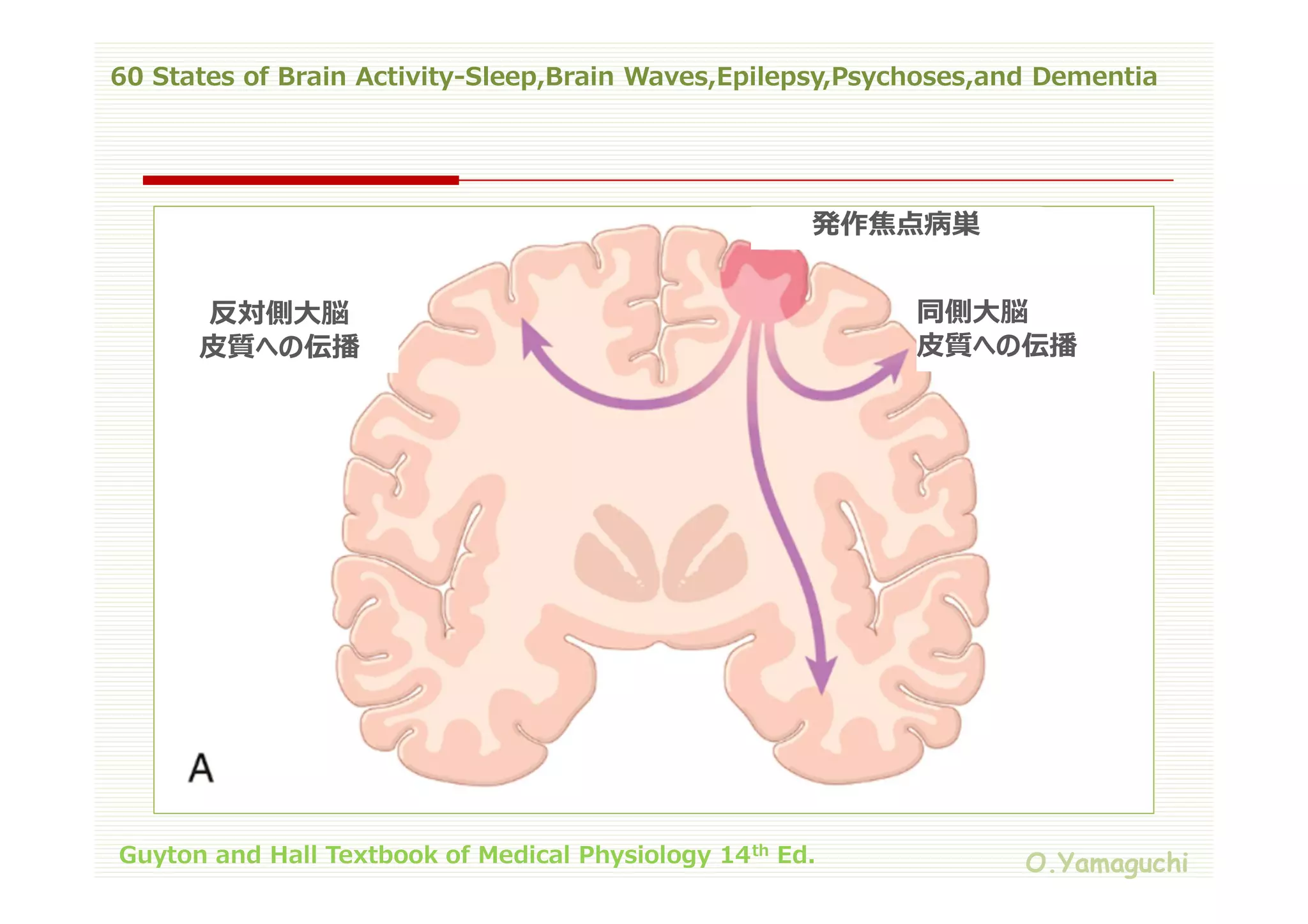 60 states of brain activity sleep,brain waves,epilepsy,psychoses,and ...