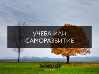 УЧЕБА ИЛИ
САМОРАЗВИТИЕ
lifehacker.ru
7
 