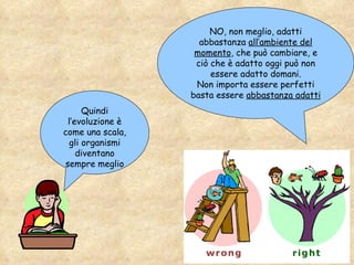 Quindi l’evoluzione è come una scala, gli organismi diventano sempre meglio NO, non meglio, adatti abbastanza  all’ambiente del momento , che può cambiare, e ciò che è adatto oggi può non essere adatto domani. Non importa essere perfetti basta essere  abbastanza adatti 