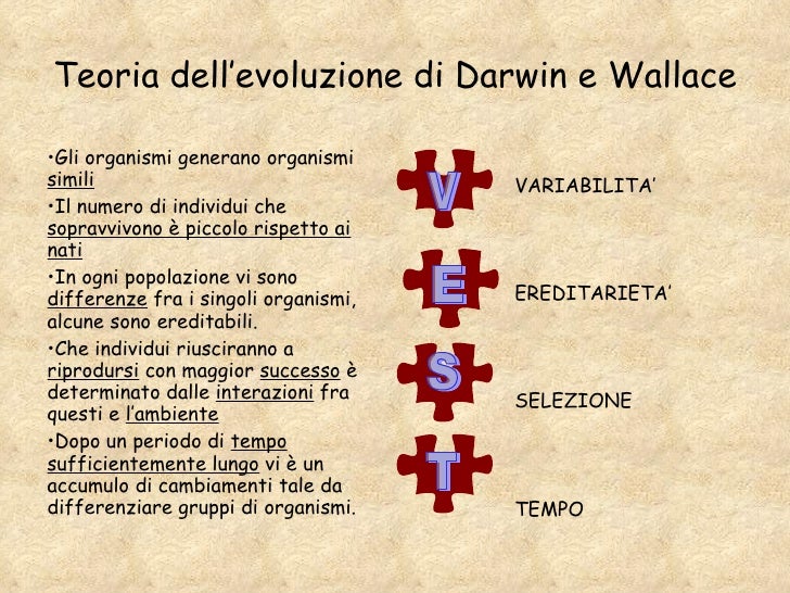 evoluzione e selezione naturale