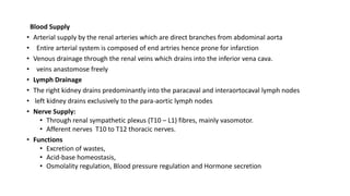 Blood Supply
• Arterial supply by the renal arteries which are direct branches from abdominal aorta
• Entire arterial system is composed of end artries hence prone for infarction
• Venous drainage through the renal veins which drains into the inferior vena cava.
• veins anastomose freely
• Lymph Drainage
• The right kidney drains predominantly into the paracaval and interaortocaval lymph nodes
• left kidney drains exclusively to the para-aortic lymph nodes
• Nerve Supply:
• Through renal sympathetic plexus (T10 – L1) fibres, mainly vasomotor.
• Afferent nerves T10 to T12 thoracic nerves.
• Functions
• Excretion of wastes,
• Acid-base homeostasis,
• Osmolality regulation, Blood pressure regulation and Hormone secretion
 