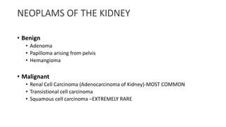 NEOPLAMS OF THE KIDNEY
• Benign
• Adenoma
• Papilloma arising from pelvis
• Hemangioma
• Malignant
• Renal Cell Carcinoma (Adenocarcinoma of Kidney)-MOST COMMON
• Transistional cell carcinoma
• Squamous cell carcinoma –EXTREMELY RARE
 