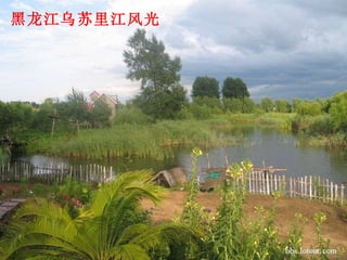 黑龙江乌苏里江风光 