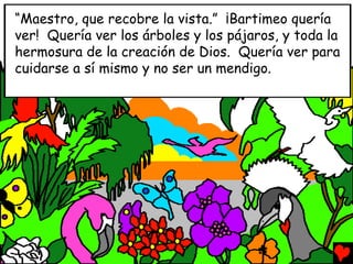 “Maestro, que recobre la vista.” ¡Bartimeo quería
ver! Quería ver los árboles y los pájaros, y toda la
hermosura de la creación de Dios. Quería ver para
cuidarse a sí mismo y no ser un mendigo.
 