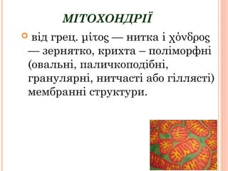 МІТОХОНДРІЇ
 від грец. μίτος — нитка і χόνδρος
— зернятко, крихта – поліморфні
(овальні, паличкоподібні,
гранулярні, нитчасті або гіллясті)
мембранні структури.
 