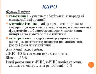 ЯДРО
Функції ядра:
 генетична - участь у зберіганні й передачі
спадкової інформації
 метаболітична – збереження та передача
інформації про синтез всіх білків, в тому числі і
ферментів за безпосередньою участю яких
відбувається метаболізм клітини
 контрольна - ядро - центр управління
клітини, контролює процеси розмноження,
росту і розвитку клітини.
Хімічний склад ядра:
ДНК - 60 % від маси сухих речовин;
білки – 35 %,
Інші речовини (і-РНК, т-РНК полісахариди,
ліпіди та мінеральні речовини) - 5 %.
 