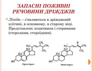 ЗАПАСНІ ПОЖИВНІ
РЕЧОВИНИ ДРІЖДЖІВ
 Ліпіди – з’являються в дріжджовій
клітині, в основному, в старому віці.
Представлені лецитином і стеринами
(стеролами, стероїдами).
 
