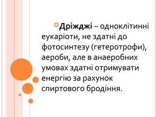 Дріжджі – одноклітинні
еукаріоти, не здатні до
фотосинтезу (гетеротрофи),
аероби, але в анаеробних
умовах здатні отримувати
енергію за рахунок
спиртового бродіння.
 
