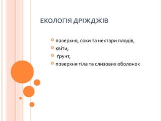 ЕКОЛОГІЯ ДРІЖДЖІВ
 поверхня, соки та нектари плодів,
 квіти,
 ґрунт,
 поверхня тіла та слизових оболонок
 