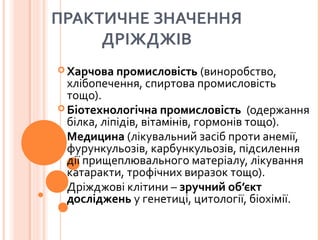ПРАКТИЧНЕ ЗНАЧЕННЯ
ДРІЖДЖІВ
 Харчова промисловість (виноробство,
хлібопечення, спиртова промисловість
тощо).
 Біотехнологічна промисловість (одержання
білка, ліпідів, вітамінів, гормонів тощо).
 Медицина (лікувальний засіб проти анемії,
фурункульозів, карбункульозів, підсилення
дії прищеплювального матеріалу, лікування
катаракти, трофічних виразок тощо).
 Дріжджові клітини – зручний об’єкт
досліджень у генетиці, цитології, біохімії.
 