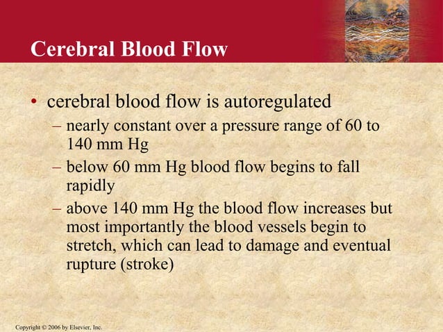 61.Cerebral blood flow, the cerebrospinal fluid and brain me.ppt ...