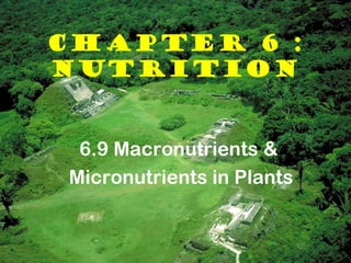 CHAPTER 6 :
NUTRITION


 6.9 Macronutrients &
Micronutrients in Plants
 