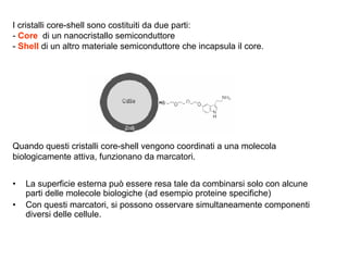 6.1   P  Confinamento